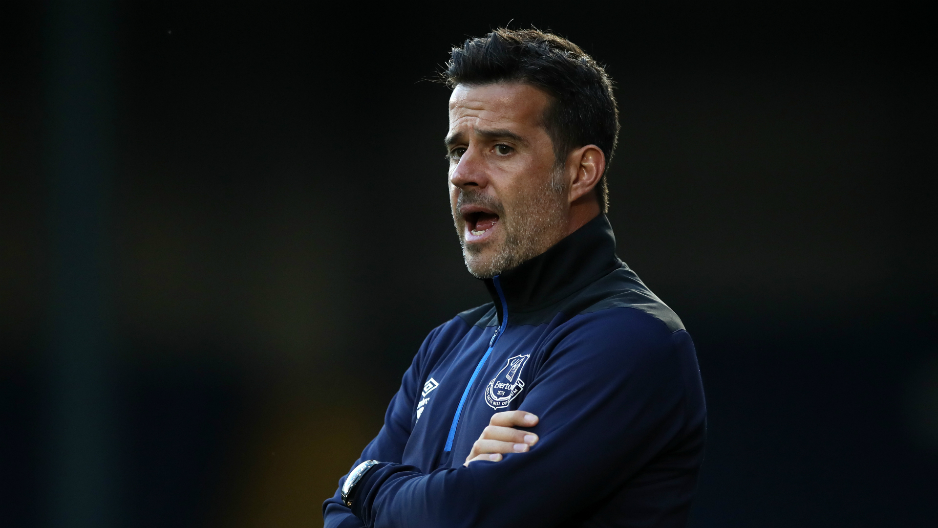 迷群体的庞 迷群体的庞